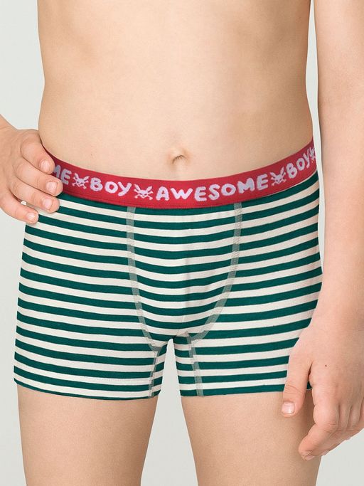 BUHB3307(2шт. в упаковке) трусы для мальчиков - Pelican фото 2