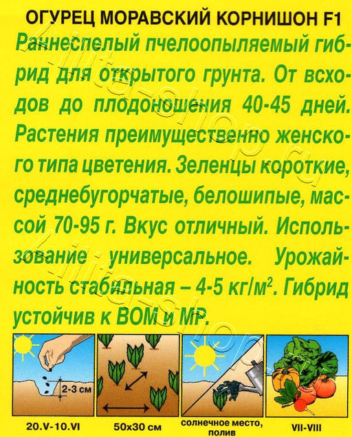 Огурец Моравский корнишон F1 10шт. (Аэлита)