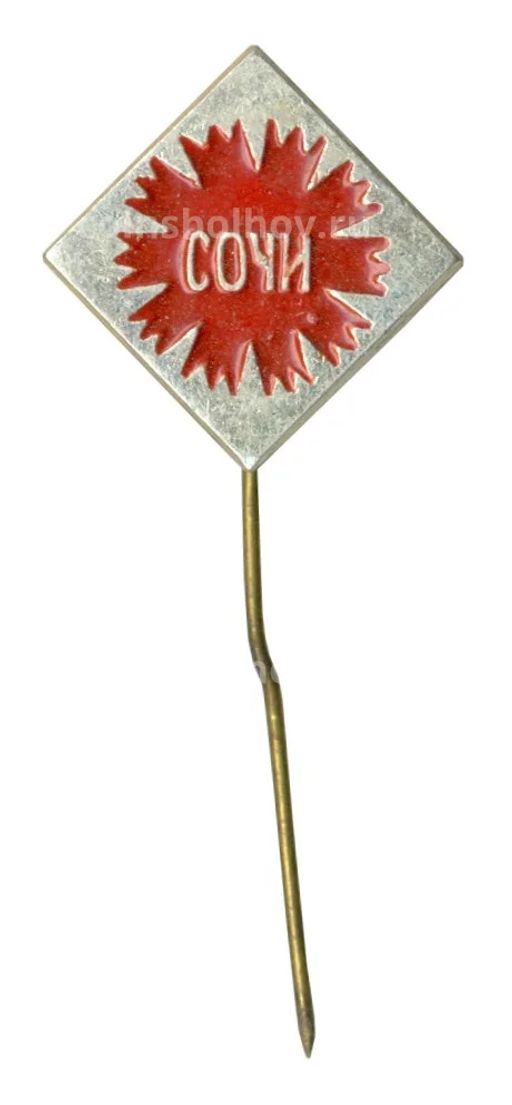 Значок Сочи