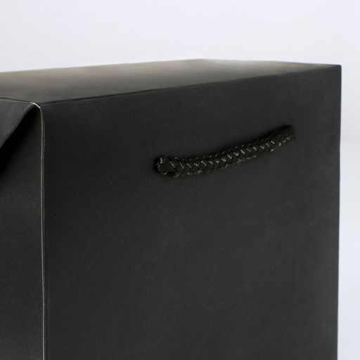 Пакет—коробка «Чёрный», 28 х 20 х 13 см