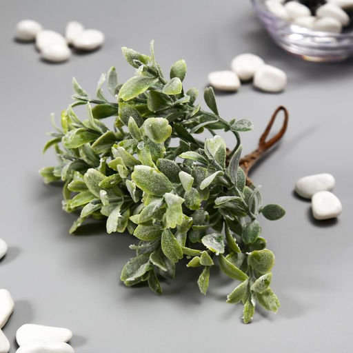 Цена за 6 шт. Искусственный суккулент для создания флорариума "Крассула" набор 6 шт 15 см