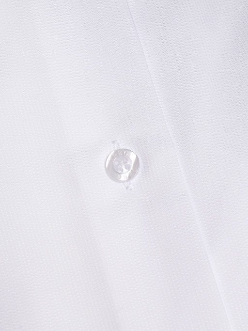 Сорочка мужская длинный рукав GREG 111/239/0169/Z  фото 2