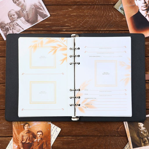 Родословная книга со встроенной флешкой 16 Gb «Книга всей семьи», 17.5×23 см.