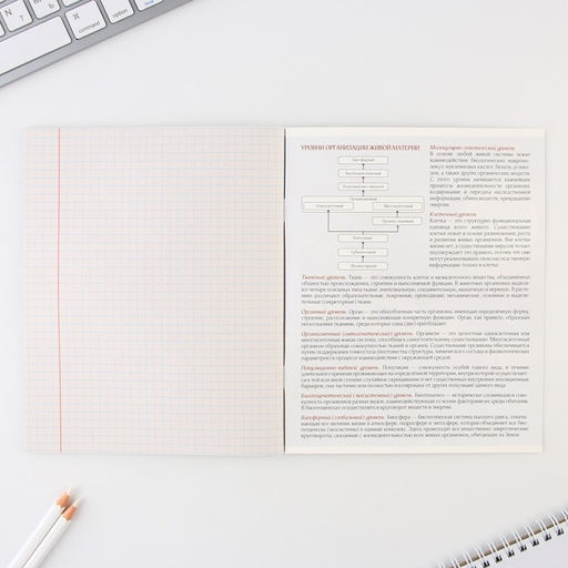 Предметная тетрадь, 48 листов, Биология, со справочными материалами Алгебра, обложка мелованный картон 230 гр., внутренний блок в клетку 80 гр., белизна до 80%, блок №4 - Artfox study фото 4