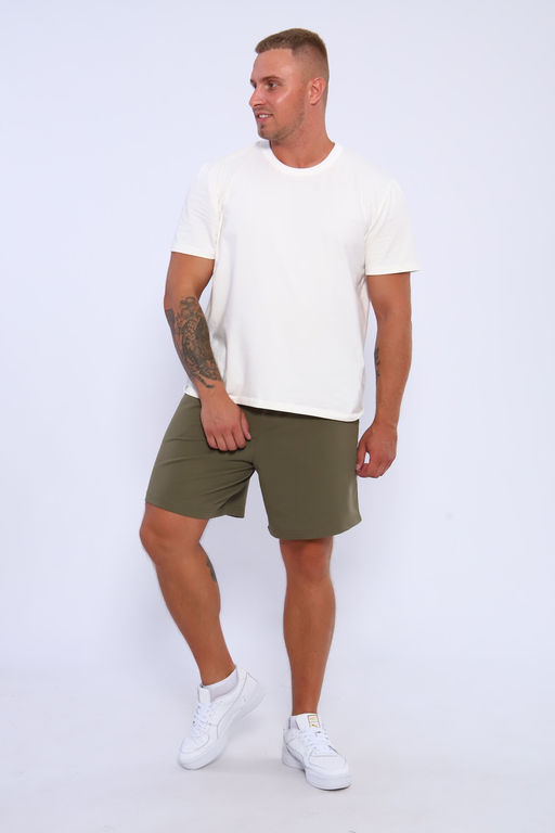 Шорты мужские 35336