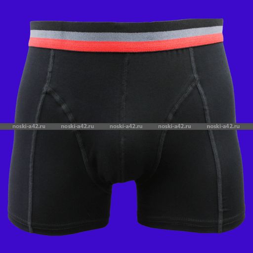 Цена за 1 шт. Боксеры трусы мужские Турция арт. 2066-6 L (48-50) - Астекс фото 5