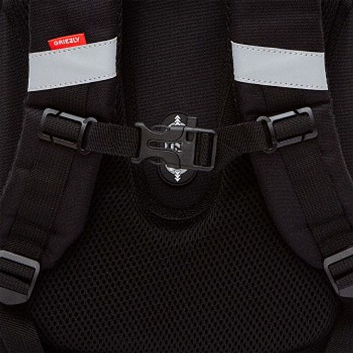 RAz-587-16 Рюкзак школьный - Grizzly фото 10