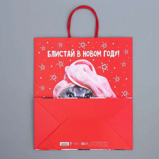 Пакет подарочный крафтовый Блистай, 28 32 15 см - Дарите счастье фото 7