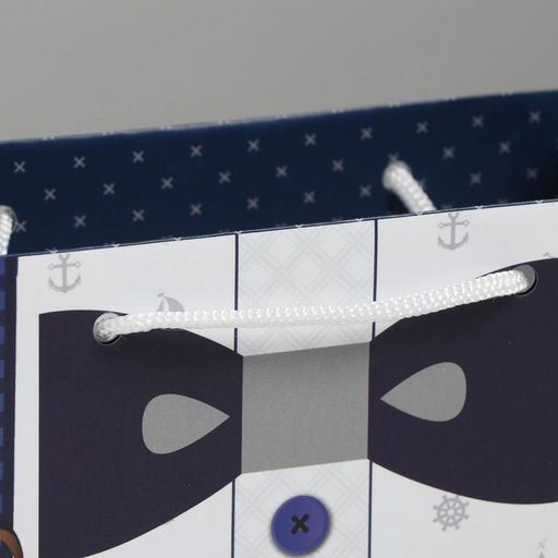 Цена за 2 шт. Пакет подарочный ламинированный, упаковка, «Деловой мужчина», MS 18 х 23 х 8 см