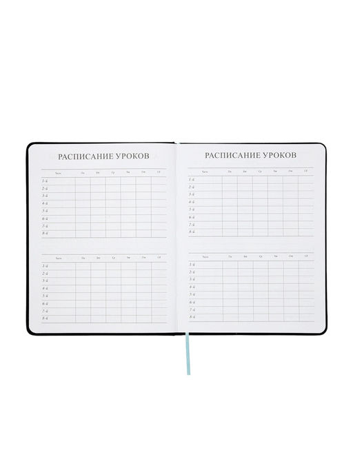 Дневник школьный 1-11 класс, ляссе, обложка искусственная кожа, с хлястиком, чёрный