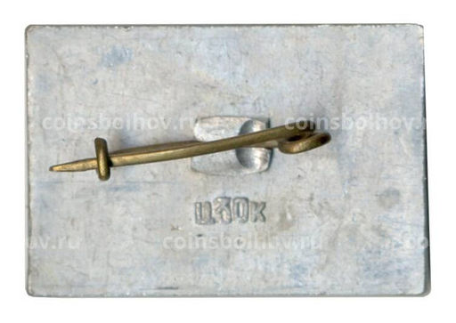 Значок Иркутск