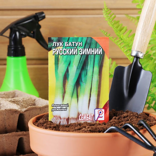 Цена за 5 шт. Семена Лук батун "Русский зимний", 1 г