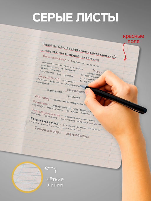 Набор тетрадей 12 листов в косую линейку, Calligrata «Однотонная Классика», серые листы, МИКС