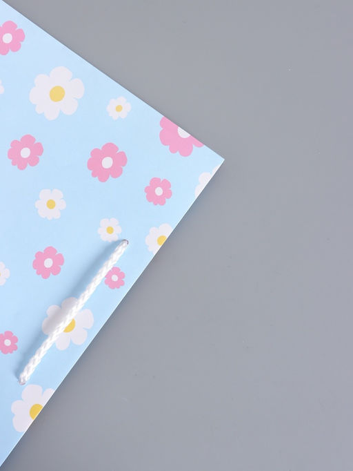 Пакет подарочный ламинированный «Милашка», 26×12×32 см