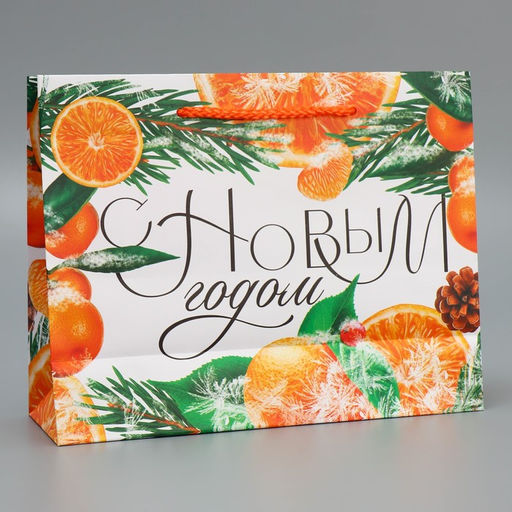 Пакет ламинированный горизонтальный Цитрусовый коктель, MS 23 18 8 см - Доступные радости фото 3