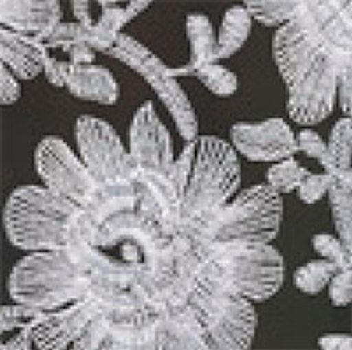 Ткань 1397 Кружевная ФАСОВКА 200 х 140 см 2 см 100% полиэстер