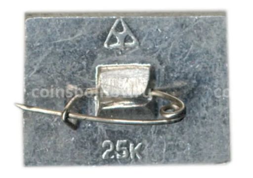 Значок Суздаль