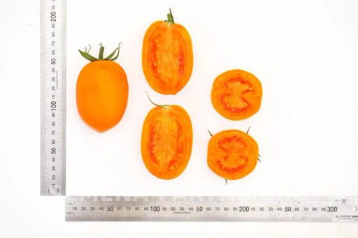 Томат Оранжевый Папа - Партнер фото 7