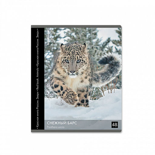 Цена за 5 шт. Тетрадь общая ученическая ErichKrause Энциклопедия, Красная книга России. Звери, 48 листов, клетка, глянцевая ламинация_MIX-PACK  фото 5