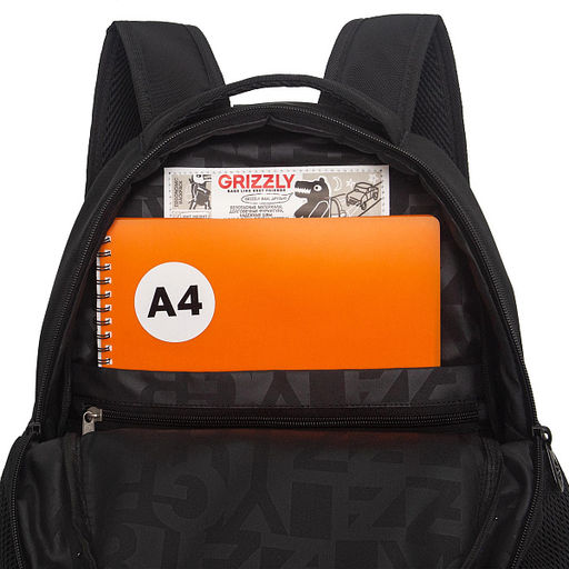 RG-663-4 Рюкзак школьный - Grizzly фото 49