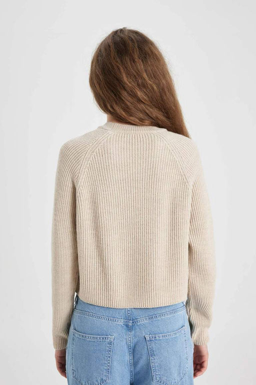 Крутой свитер стандартной посадки с круглым вырезом - Defacto фото 6