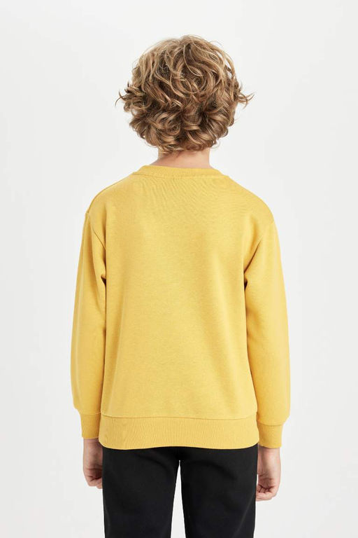 Толстовка для мальчиков с круглым вырезом и тигровым принтом - Defacto фото 6