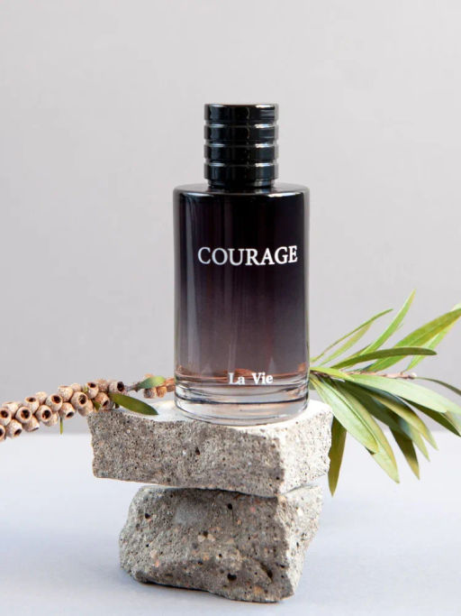 Dilis COURAGE Парфюмерная вода для мужчин 100 мл  фото 2