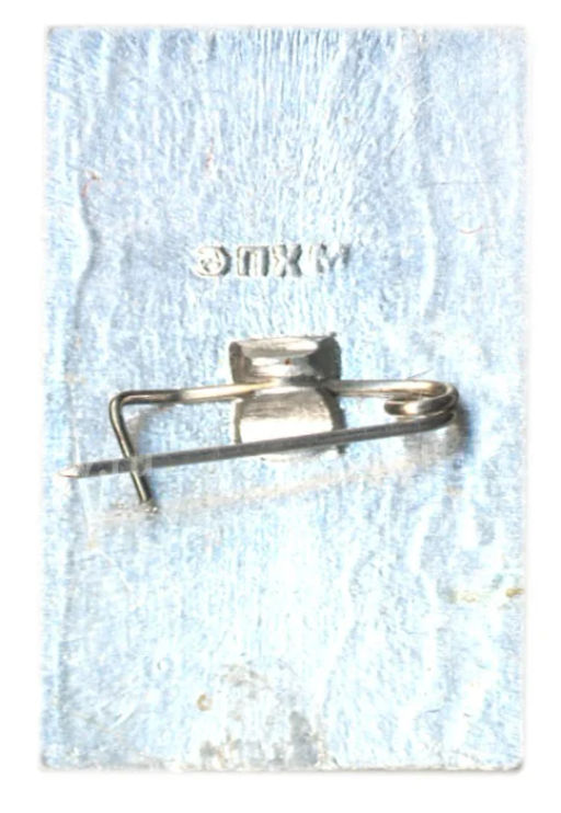 Значок Общество охраны памятников истории и культуры РСФСР