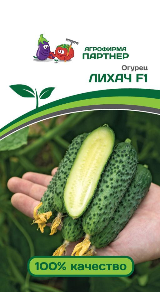 Огурец партенокарпический Лихач