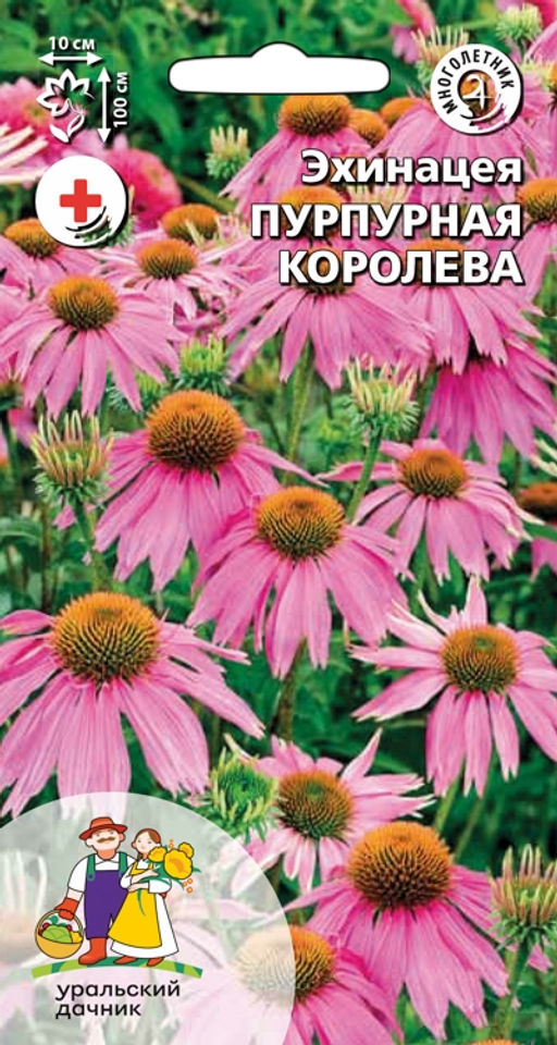 Эхинацея ПУРПУРНАЯ КОРОЛЕВА