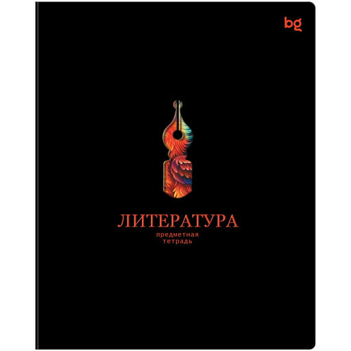 Цена за 2 шт. Тетрадь 48л. ИНФОРМАЦИОННОЕ ПОЛЕ "Литература" (ТП5ск48_лс_вл 63877, BG) soft-touch ламинация, выб.лак