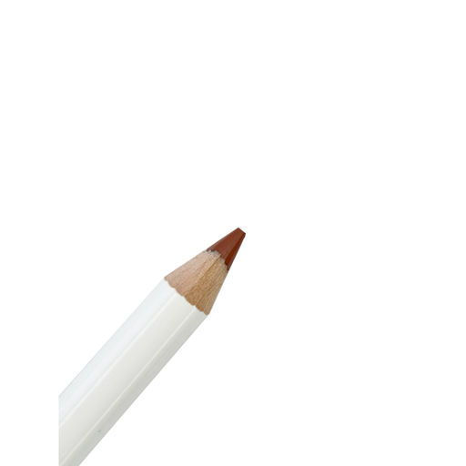 Карандаш для губ Professional, 421 Copper Penny