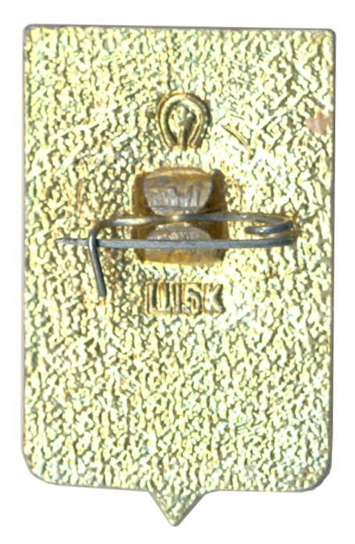 Значок Ростов на Дону