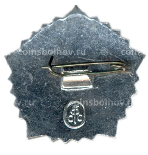 Значок ГТО  IV ступень