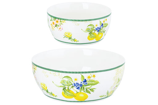 Набор 2 салатников - 14*14*6 см 600 мл + 20*20*7,5 см 1,7 л Лимоны NEW BONE CHINA - Elan gallery фото 3