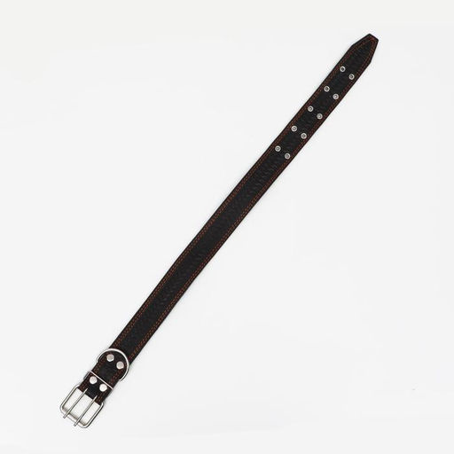 Ошейник кожаный с тиснением на синтепоне, 85 х 4.5 см, ОШ 50-70 см, чёрный - Пижон фото 3