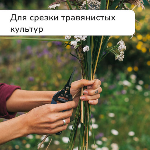 Ножницы садовые, 8" (20 см), с пластиковыми ручками, Greengo