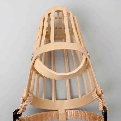 Намордник пластиковый № 2, ОМ 20 см, ДН 6 см, ОШ 38-47 см, вес питомца 5 кг - Пижон фото 6