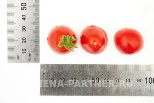 Томат Монпансье - Партнер фото 6