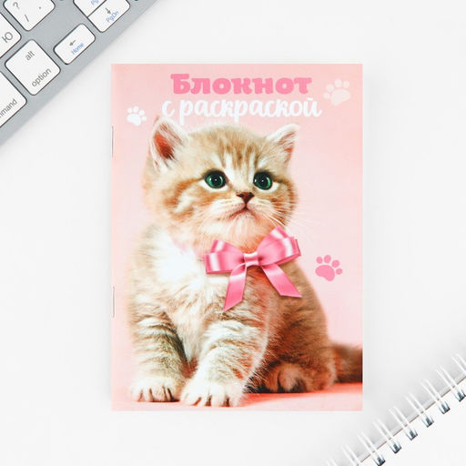 Цена за 2 шт. Набор блокнот А6, 32 листа, наклейки, магнитные закладки «Милый котенок»