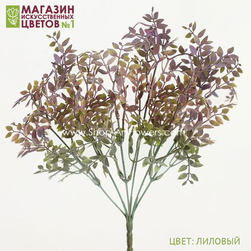 103 Листья фисташки, куст - Без тм фото 5