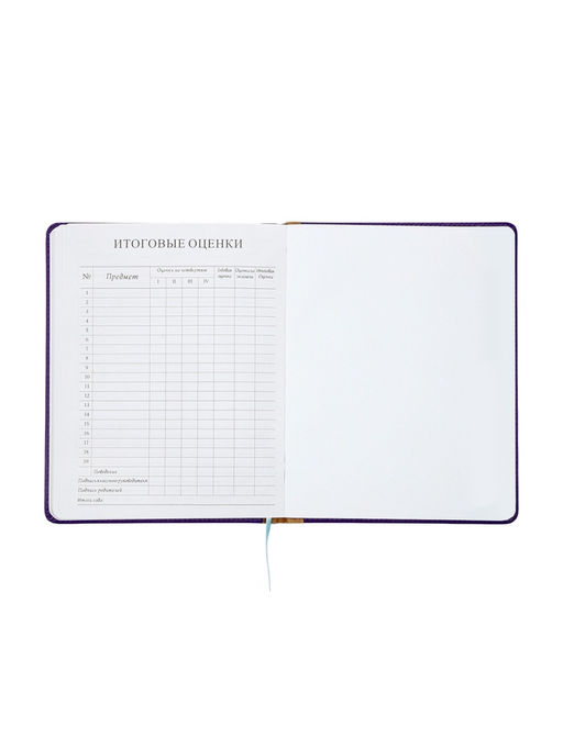 Дневник школьный 1-11 класс, лассе, обложка искуственная кожа, с резинкой для ручки