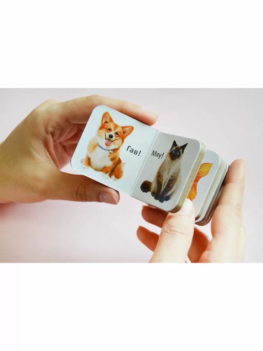 Мими - книжки. Мир вокруг меня - Робинс фото 4