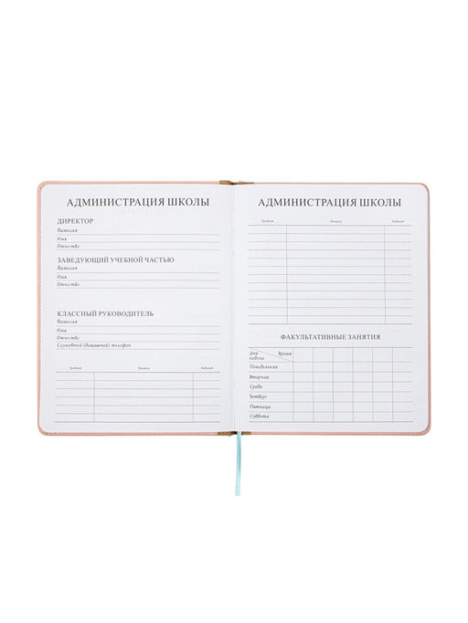 Дневник школьный 1-11 класс, лассе, обложка искуственная кожа бежевая, резинка для ручки