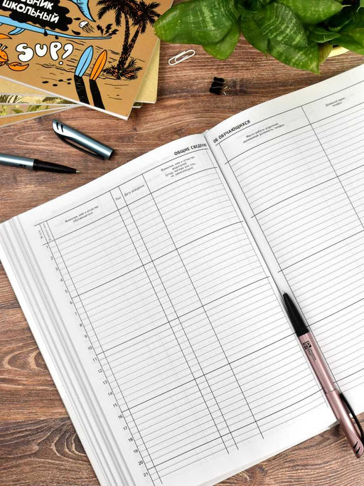 Классный журнал 10-11 класс арт. 5193