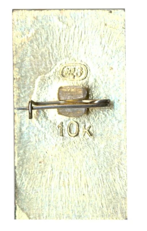 Значок Звенигород