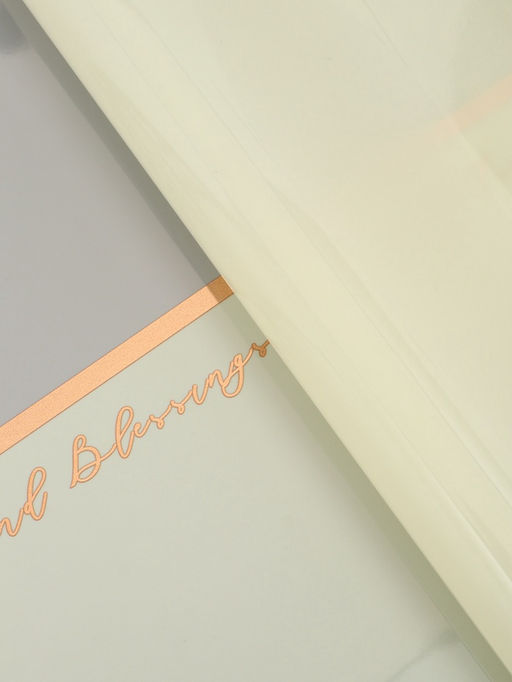 Цена за 20 шт. Плёнка для цветов «Полоса с окном», светло-зелёная с золотым, 57×57±2 см