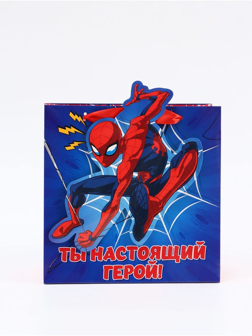 Цена за 2 шт. Пакет подарочный «Супергерой», 22 × 22 × 10 см