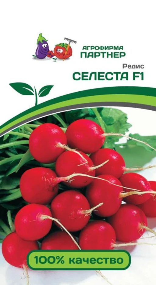 Редис Селеста - Партнер фото 2