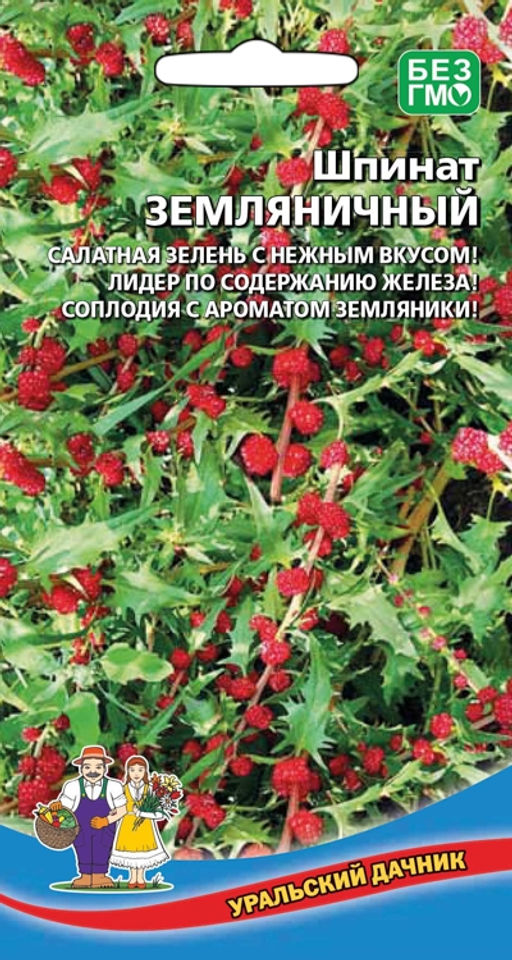 Шпинат ЗЕМЛЯНИЧНЫЙ